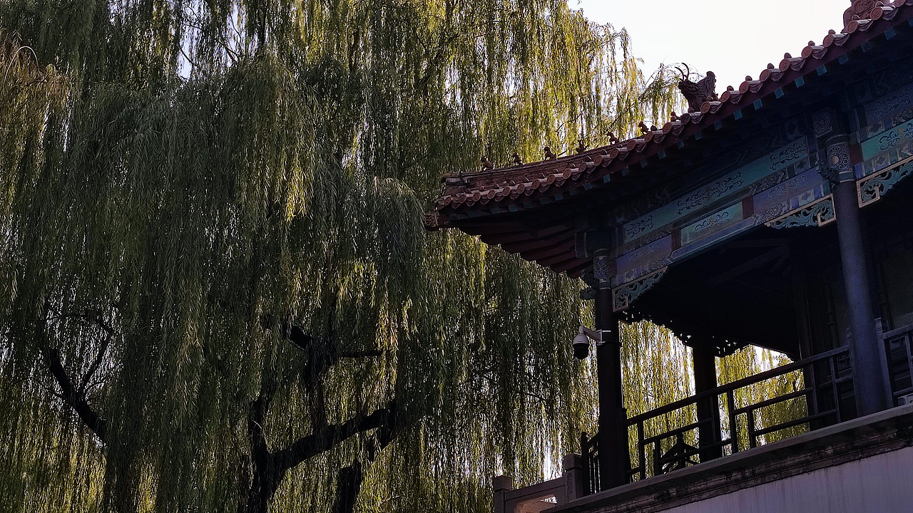 濟(jì)南行（圖ZMzYwMjgyOTY4） - 風(fēng)光攝影 - 站酷設(shè)計(jì)師無(wú)言4869原創(chuàng)素材 - 站酷ZCOOL
