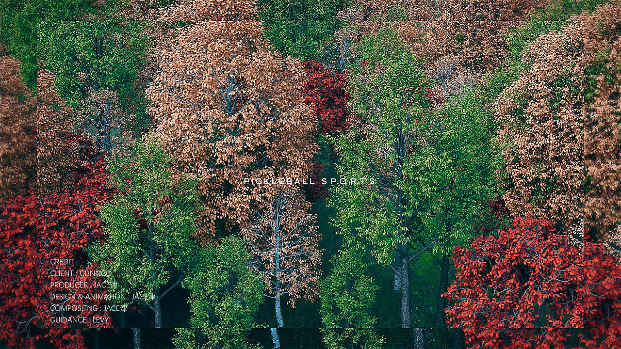 “匹克球（Pickleball）”的产品概念三维动画（图ZMzAwOTcxOTIw） - 产品 - 站酷设计师Jace津原创素材 - 站酷ZCOOL