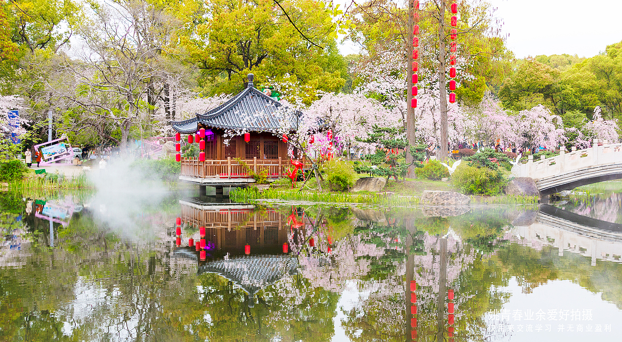 武汉东湖磨山樱花园姚青春2023年随拍照片1