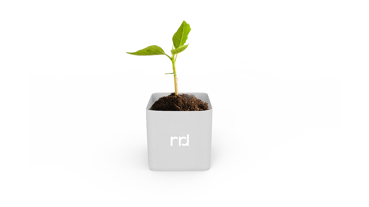 茶叶包装设计-概念设计