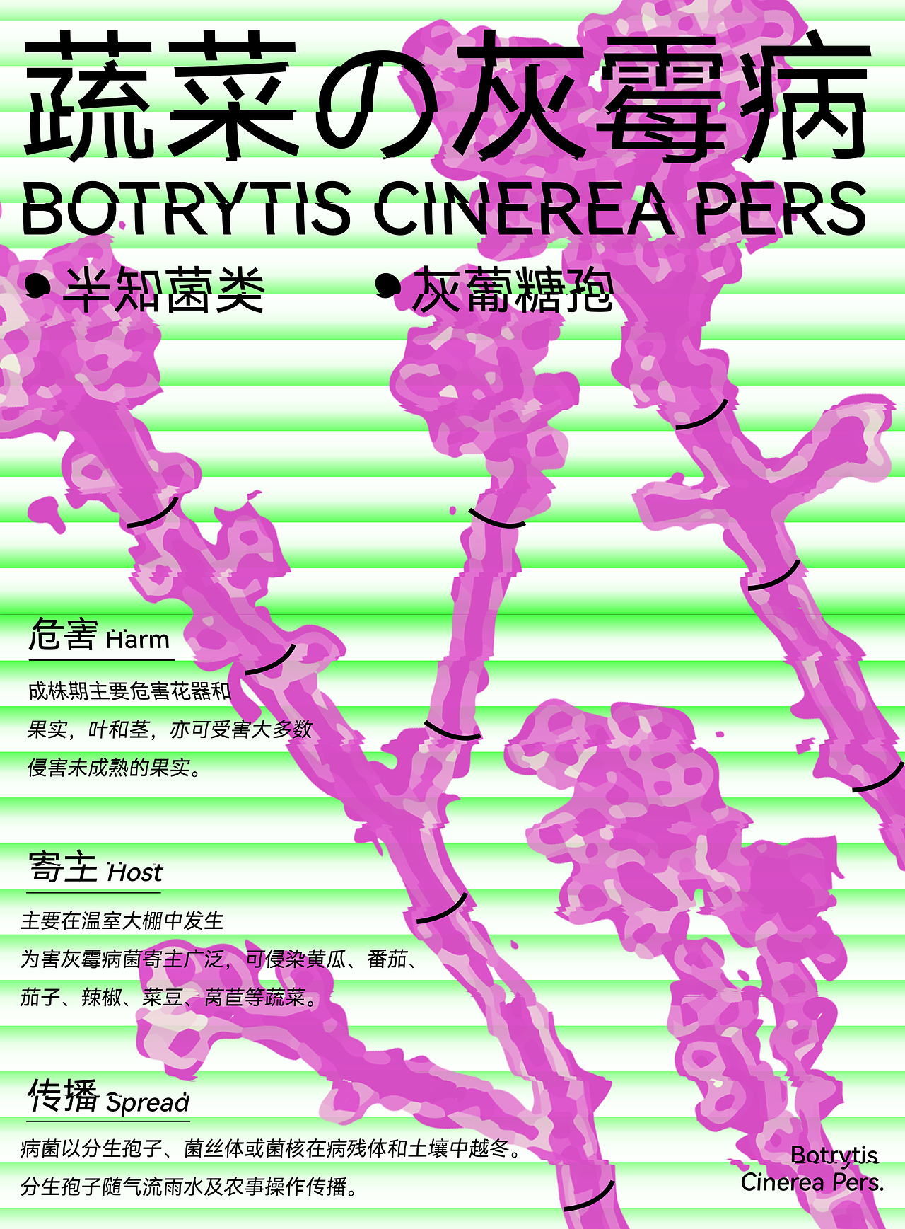 【第二十一天白痴呀的作品（图ZMzE5NTAzMTMy） - 字体/字形 - 站酷设计师白痴呀原创素材 - 站酷ZCOOL