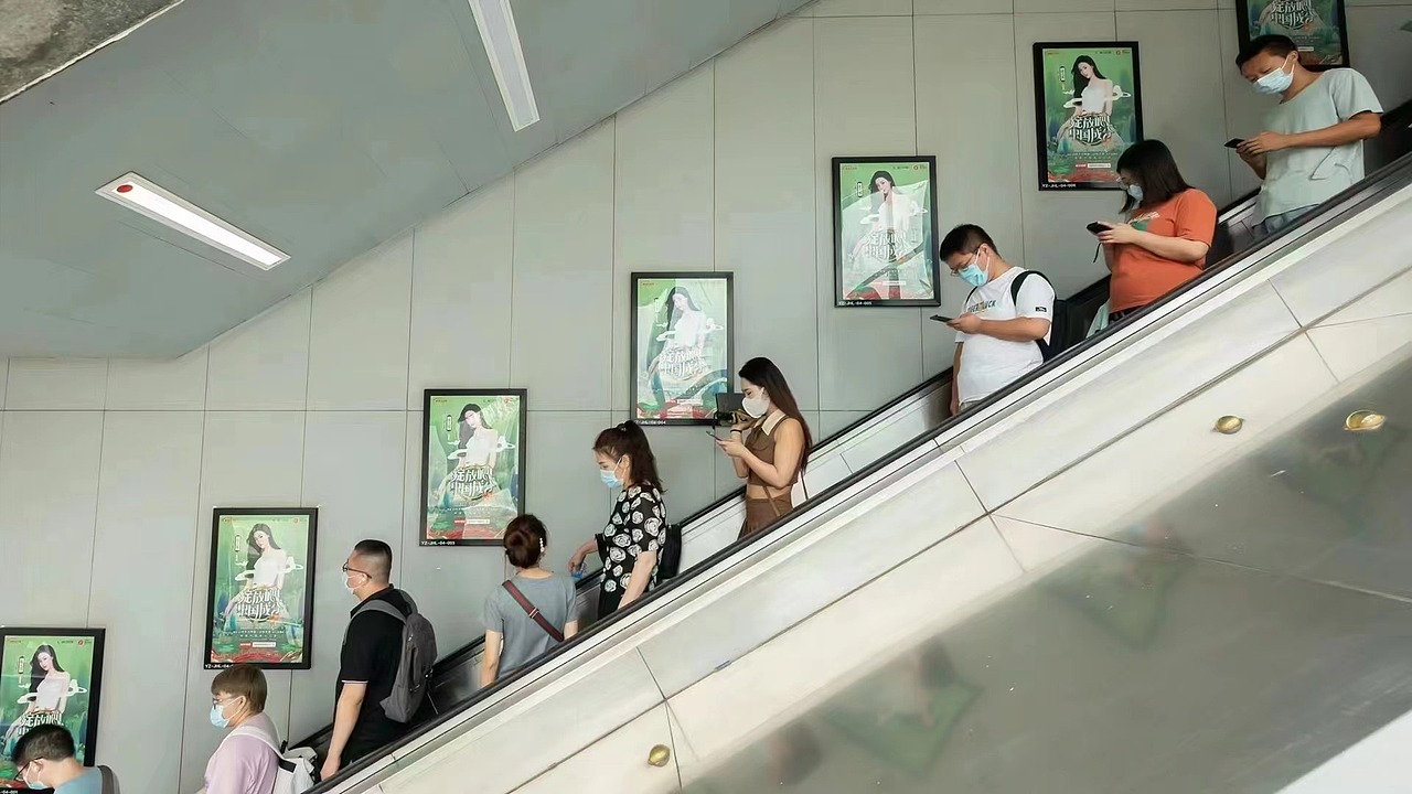 绽放吧中国成分-宣传海报