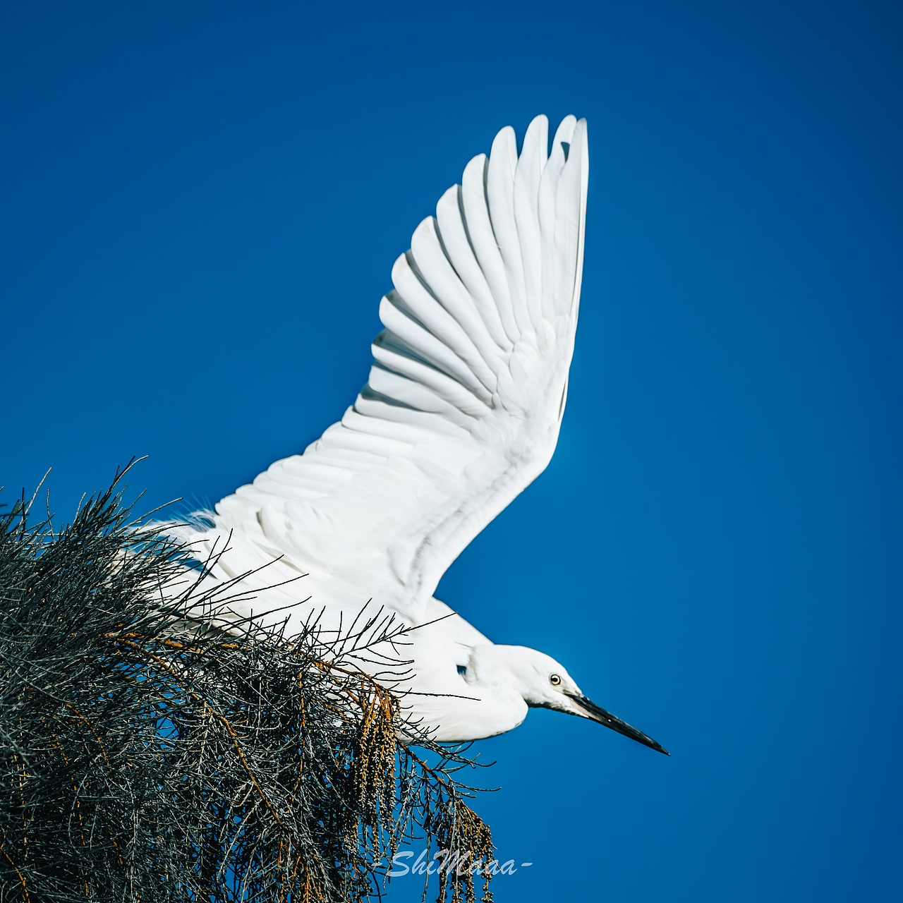 青西郊野公园｜富士xh2