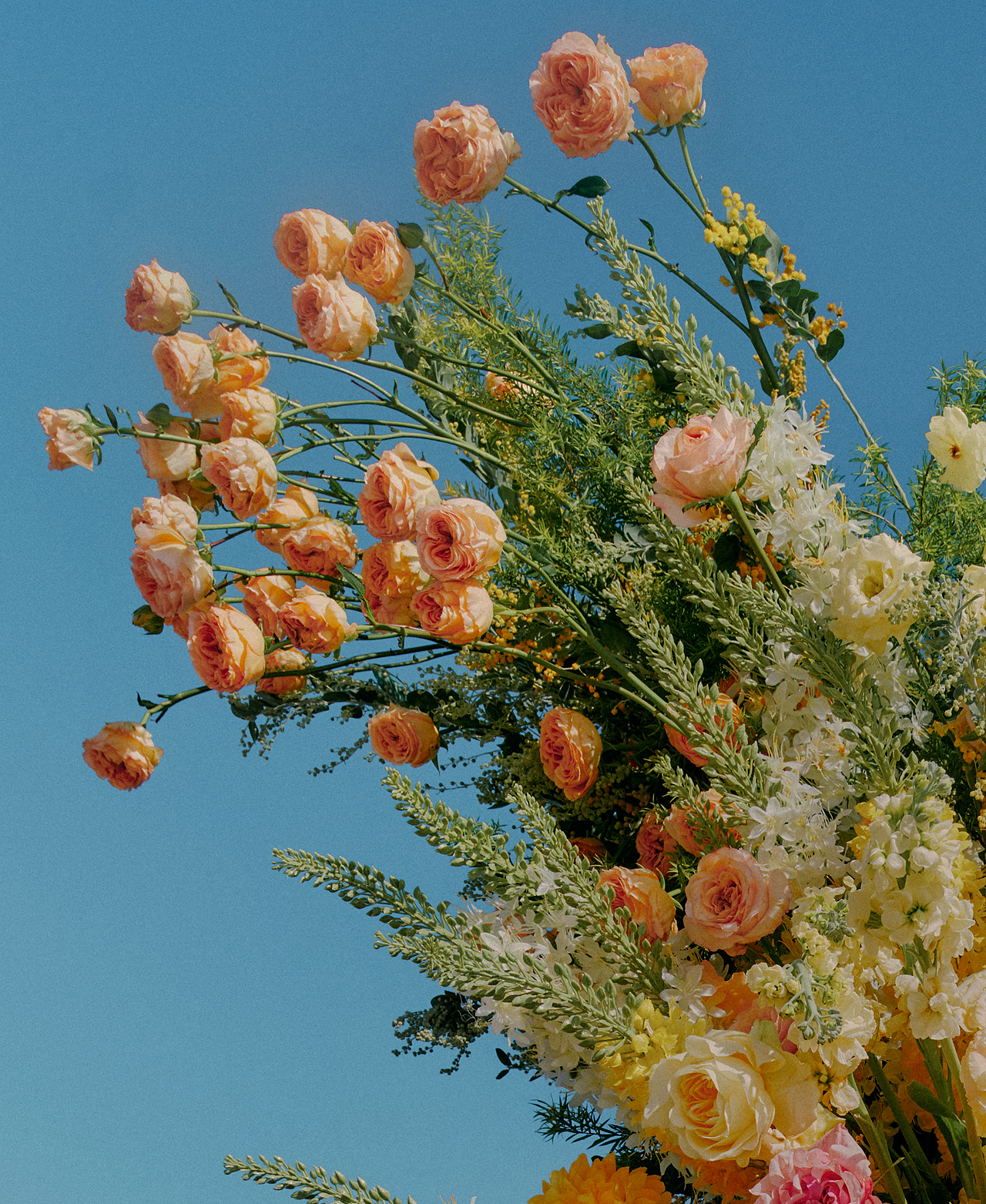 探秘自然 PREMIUM x ROStudio