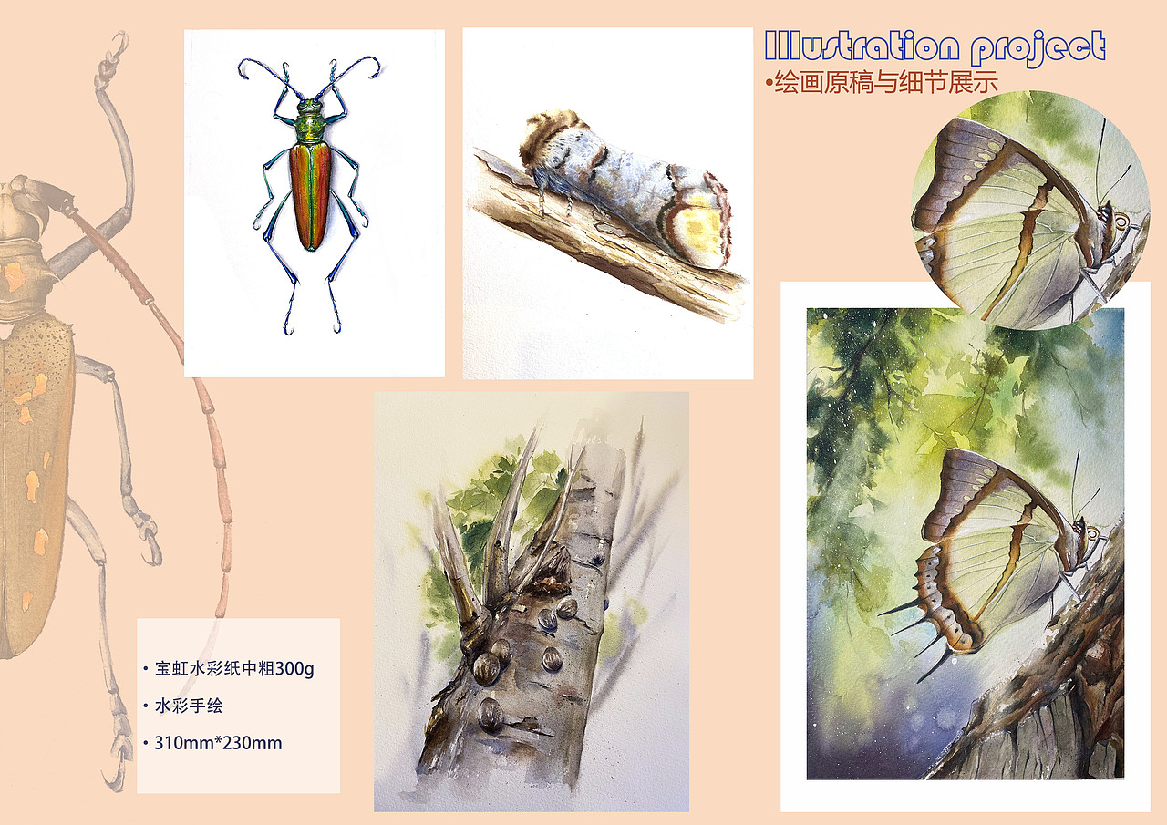 水彩手绘的两本昆虫书插画（图ZMzQ4MjM2MDMy） - 艺术插画 - 站酷设计师瞳Hitomi原创素材 - 站酷ZCOOL