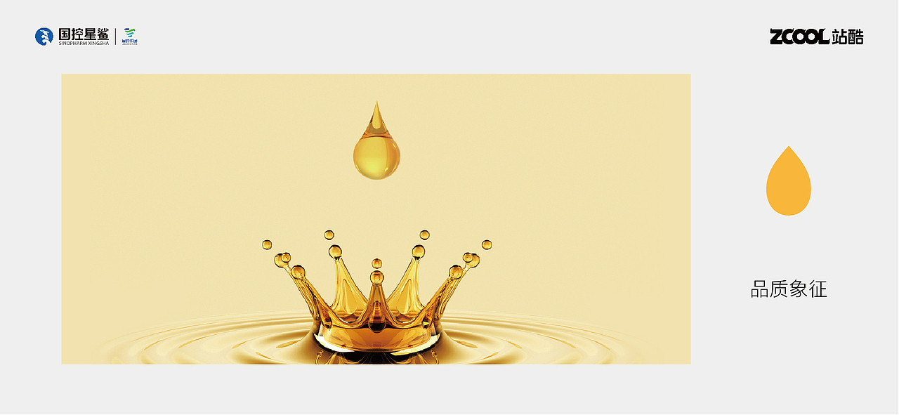 凭“星”而来 “鲨”耀新生——品牌焕新