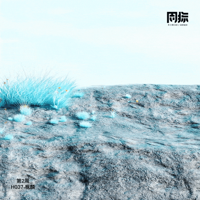 动态周练丨第2周优秀作品