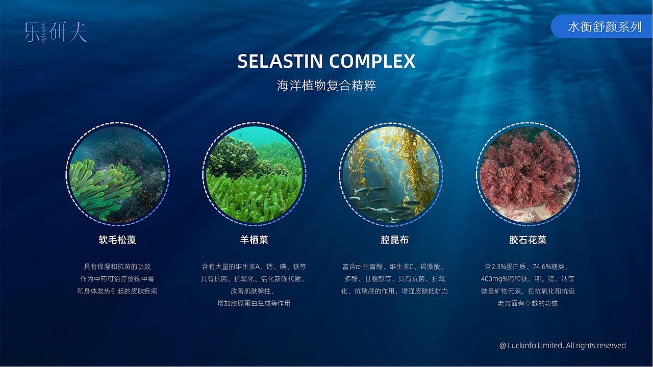 乐研夫全系列产品介绍