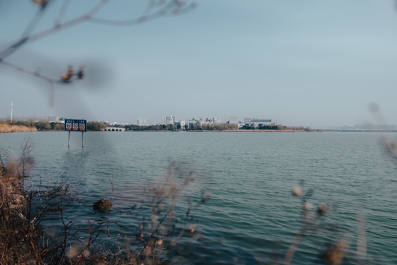 2023 用拍照来补全生活暴击