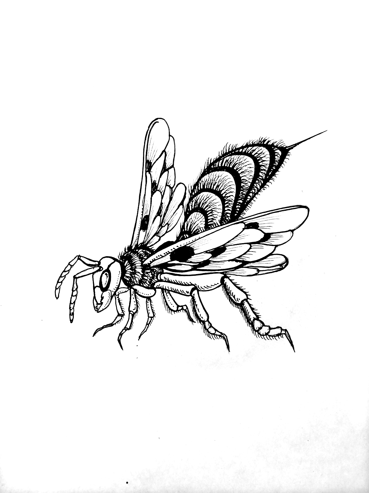 山海经神兽考-猛兽（图ZMzYwNDkyNTM2） - 概念设定 - 站酷设计师MUGU工舍原创素材 - 站酷ZCOOL