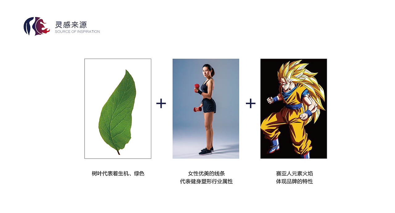 塞亚综合训练馆logo提案