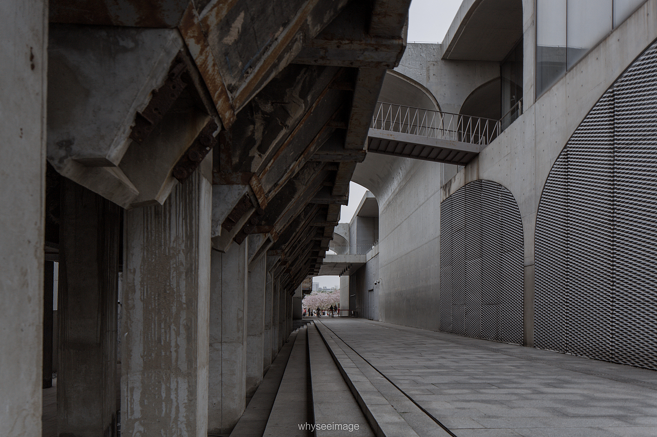 一片樱花在龙美旁落下 | 魔都建筑奇谭记（图ZMzAwODA2OTcy） - 环境/建筑摄影 - 站酷设计师whyseeimage原创素材 - 站酷ZCOOL