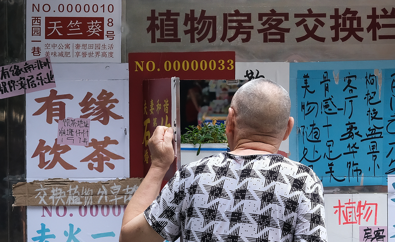 社区营造设计项目|植物房客(图ZMzE3NTYxODEy) - 书籍/画册 - 站酷设计师3883號房客原创素材 - 站酷ZCOOL