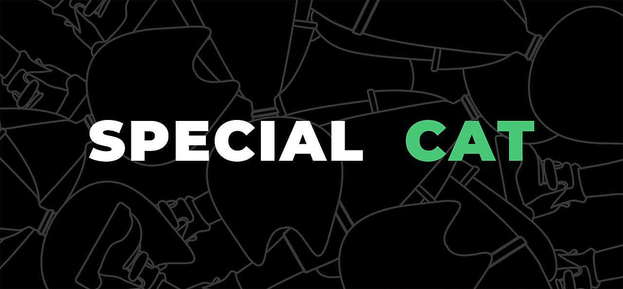 特猫IP-我是最酷的猫咪NFT元宇宙潮玩