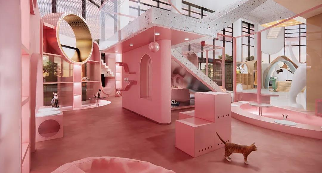 未本×极宠家：什么样的宠物店才能戳中铲屎官的心（图ZMzA4NzI2OTE2） - 商业空间设计 - 站酷设计师未本共生原创素材 - 站酷ZCOOL