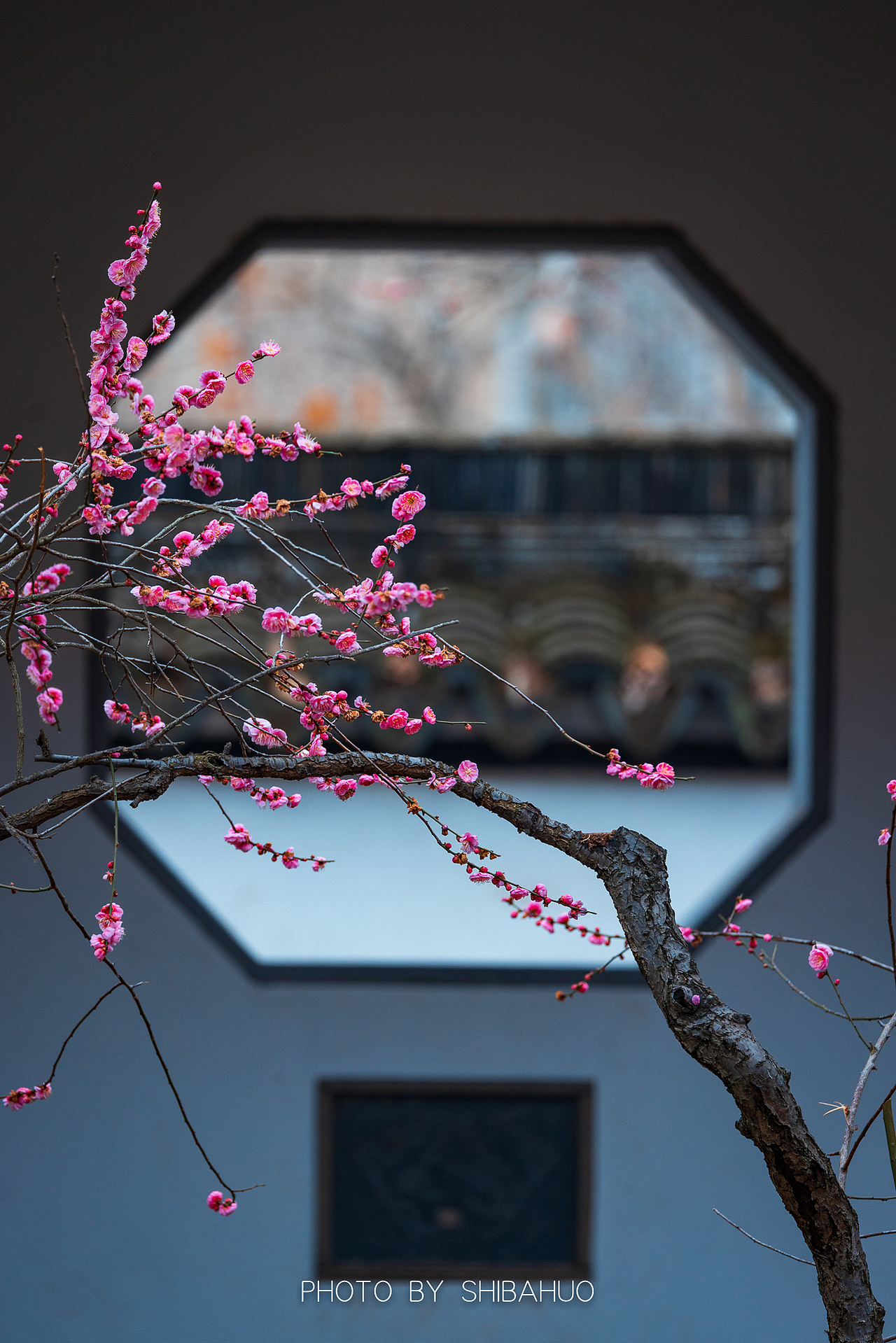 花开梅岗（图ZMzMwNDYzMjQ0） - 风光摄影 - 站酷设计师十把火原创素材 - 站酷ZCOOL