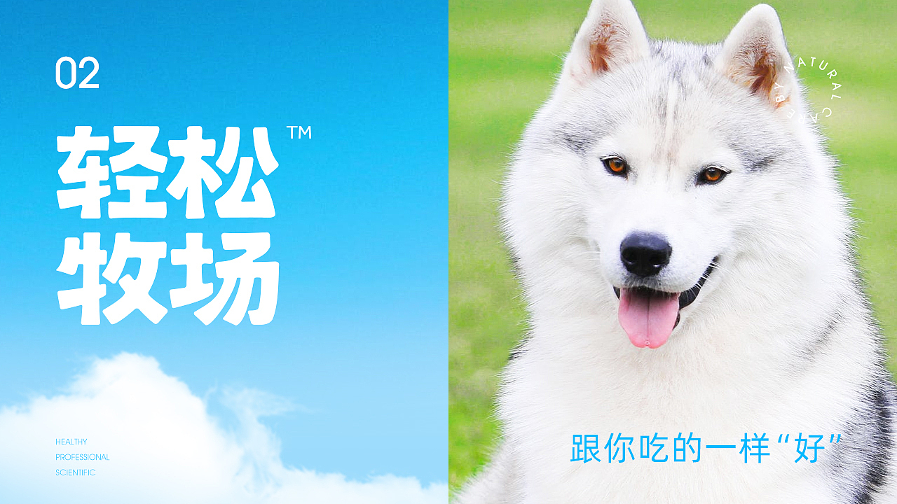 线上全案策划 | 小壳（图ZMzIwNzA3MDQ4） - 电商 - 站酷设计师设计师画原创素材 - 站酷ZCOOL