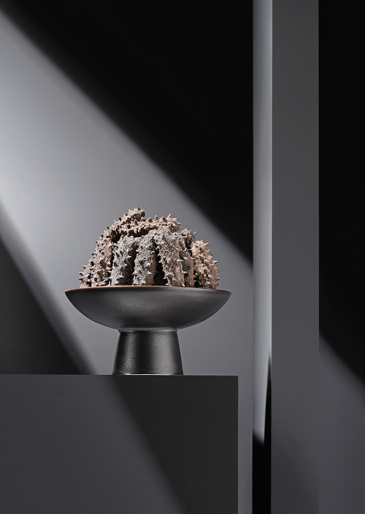 御采芝淡干辽参，海参（图ZMzY0ODU3ODM2） - 产品摄影 - 站酷设计师有意视觉文化原创素材 - 站酷ZCOOL