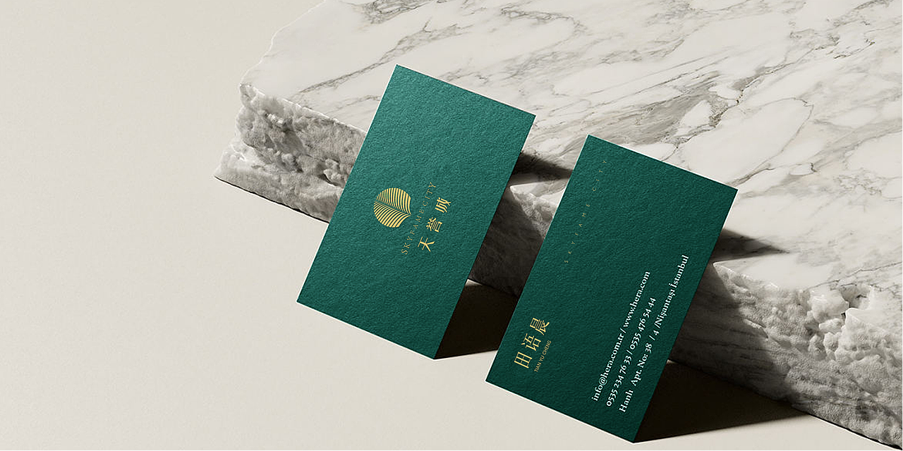 黄埔知识城项目：天誉城LOGO+VI设计提案稿（图ZMzQ3NDQyNDYw） - Logo - 站酷设计师BrianLiu原创素材 - 站酷ZCOOL