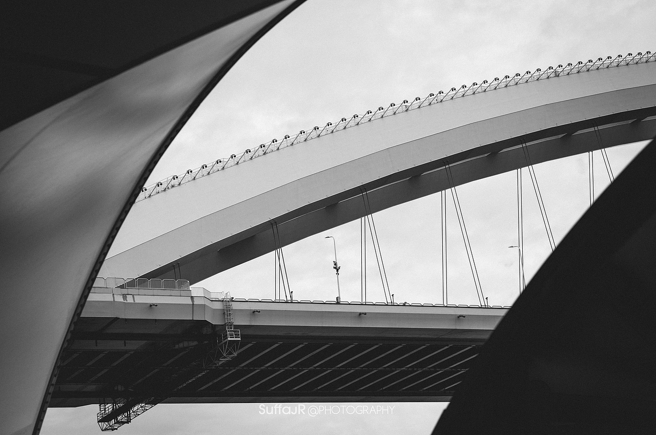 街头摄影 I 世博公园&滨江