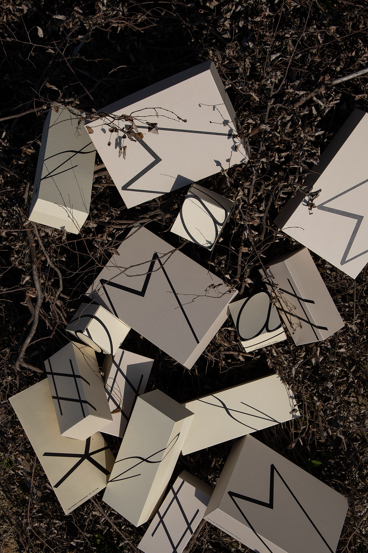 有趣有盒子·纸现场方块计划