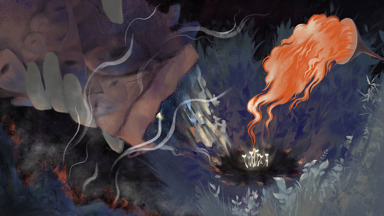 烧荒的赌徒以世界为养料,赌博一粒种子的未来。