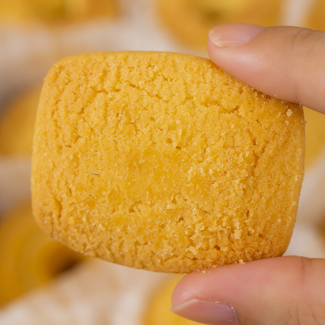 有间|东望洋澳门葡式风味曲奇