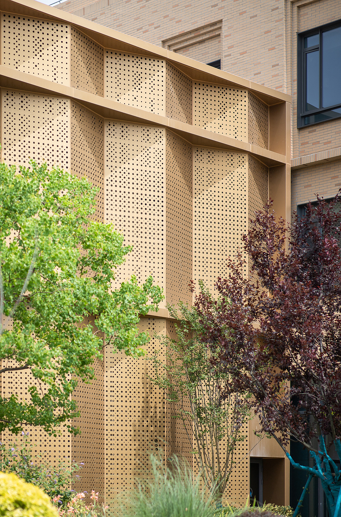 上海金瑞学校（图ZMzExNDYzMDA4） - 环境/建筑摄影 - 站酷设计师梁文军原创素材 - 站酷ZCOOL