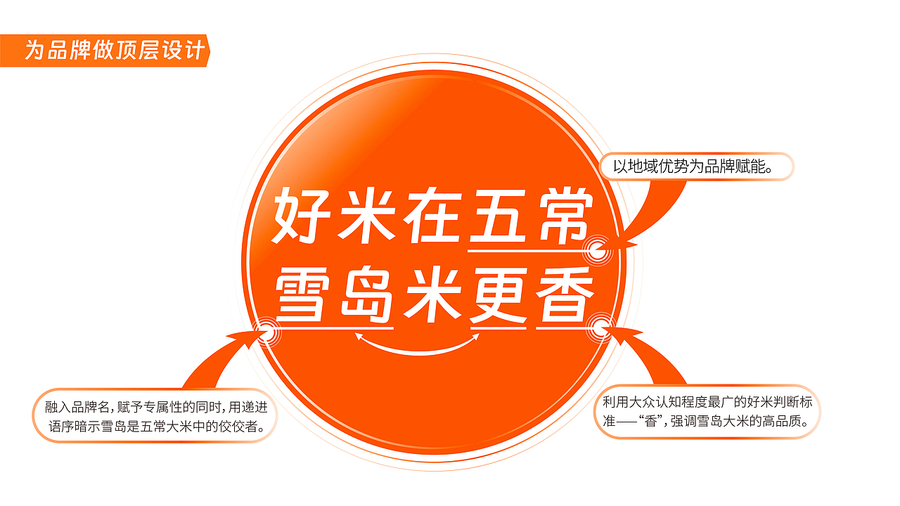 雪岛/品牌全案策划设计