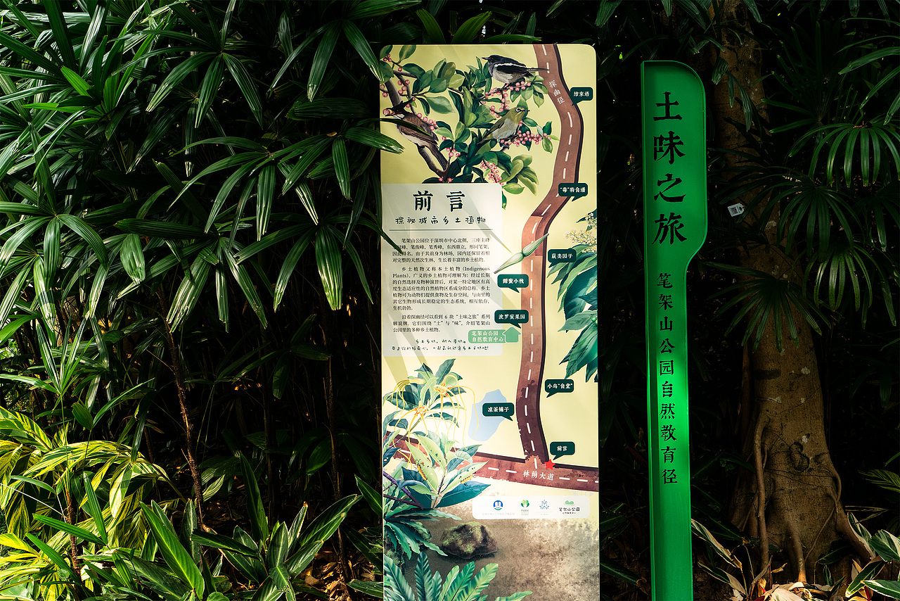 深圳笔架山公园自然教育径--解说牌(图ZMzQwNDI3MzUy) - 商业插画 - 站酷设计师进退设计原创素材 - 站酷ZCOOL