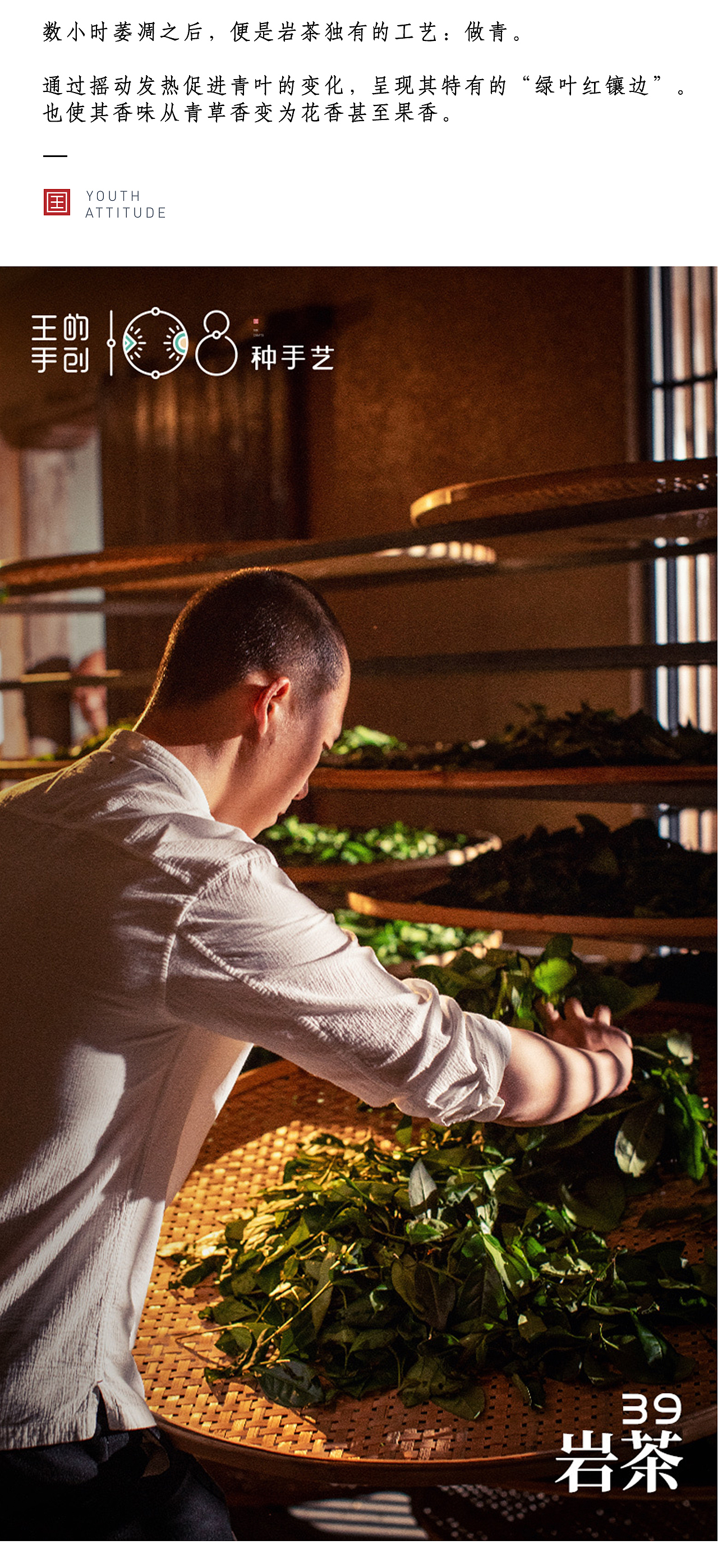 岩茶“其地,上者生烂石,中者生砾壤,下者生黄土”