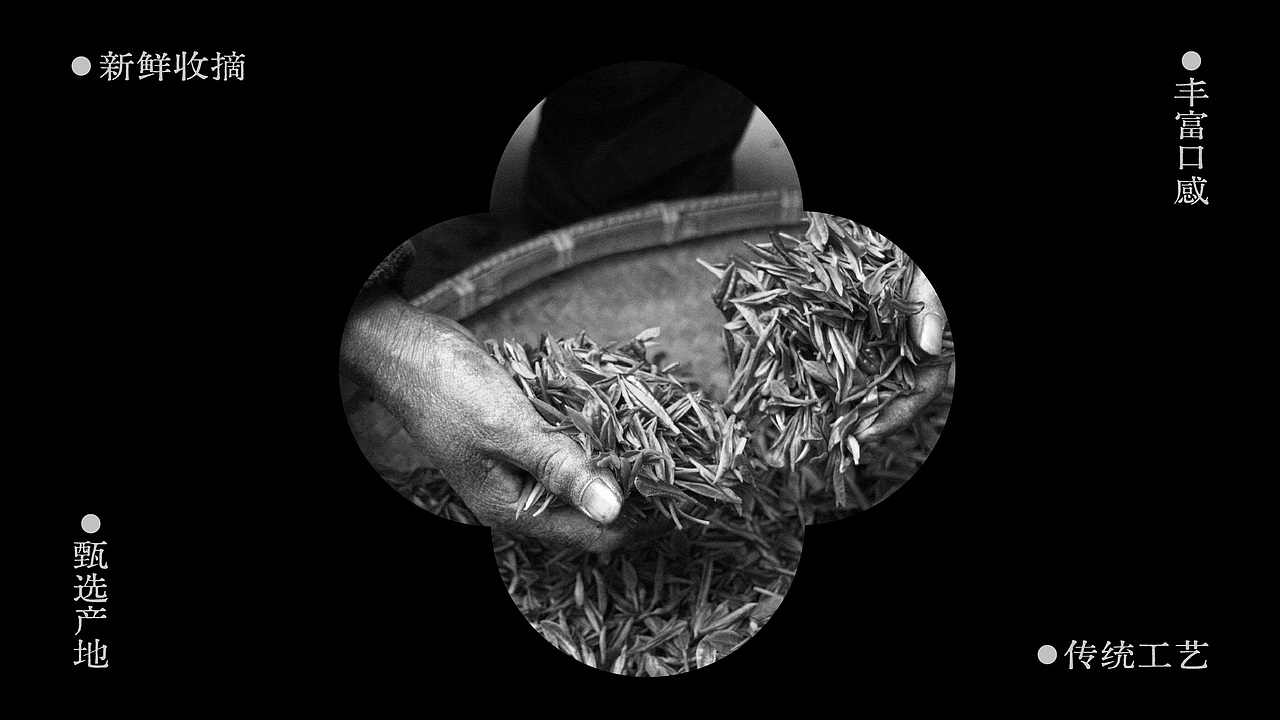 Brand 2024 | 宠物&茶饮品牌设计合集（图ZMzYzODAyNjcy） - 品牌 - 站酷设计师波塞冬冬冬原创素材 - 站酷ZCOOL