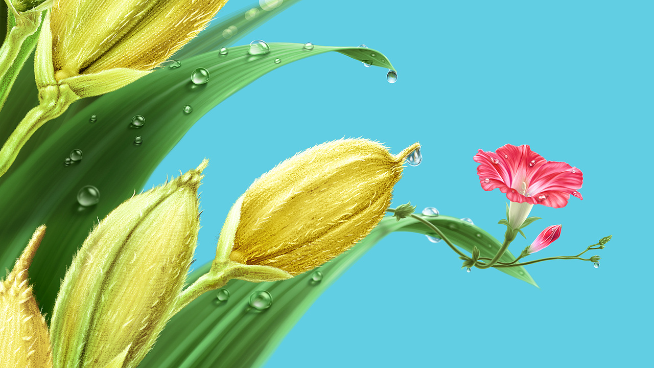 寒露秋香｜商超主力品升级（图ZMzQwMzg1NTI4） - 商业插画 - 站酷设计师yorking原创素材 - 站酷ZCOOL