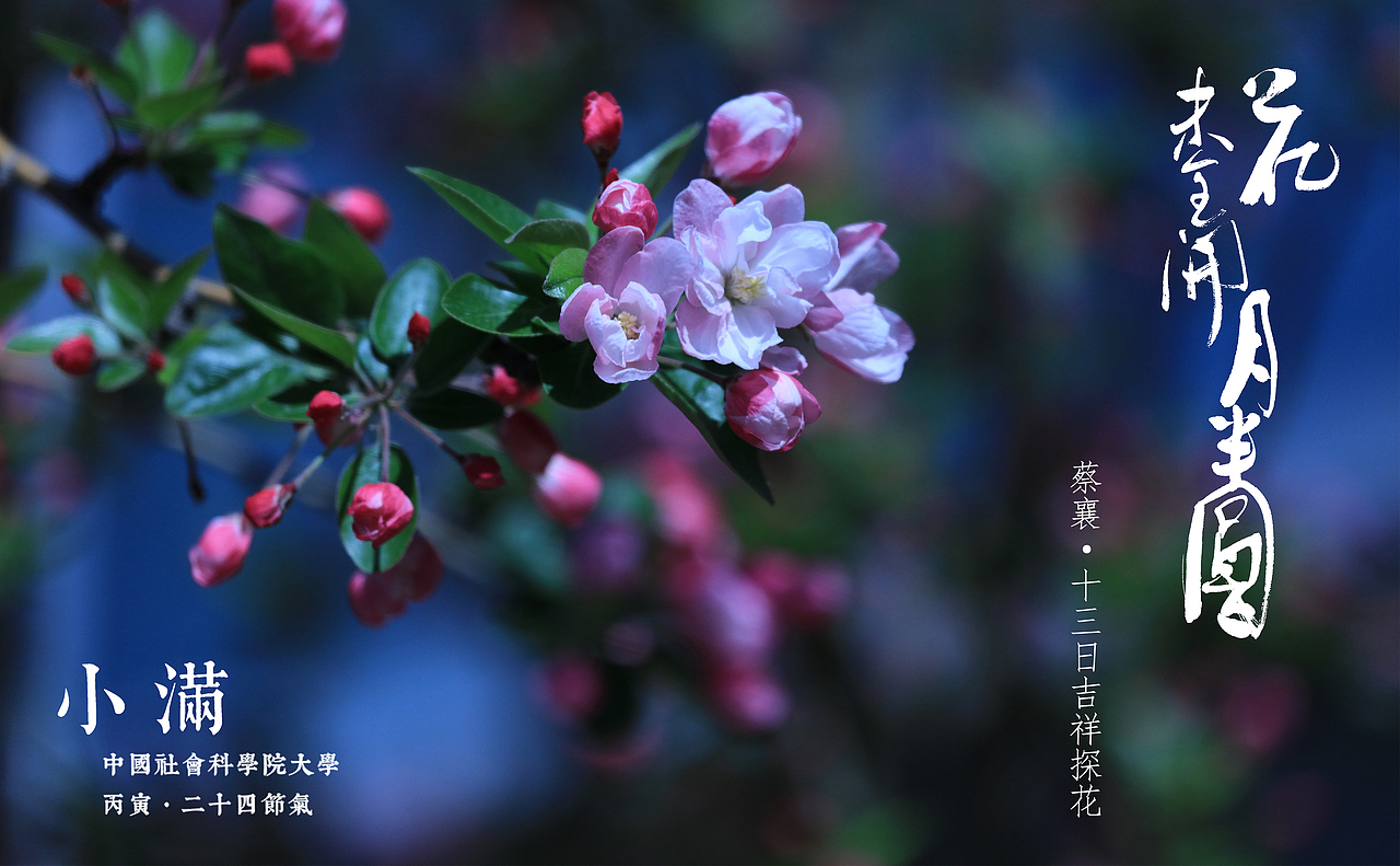 二十四节气明信片校园风中国风设计24节气高校毕业文创