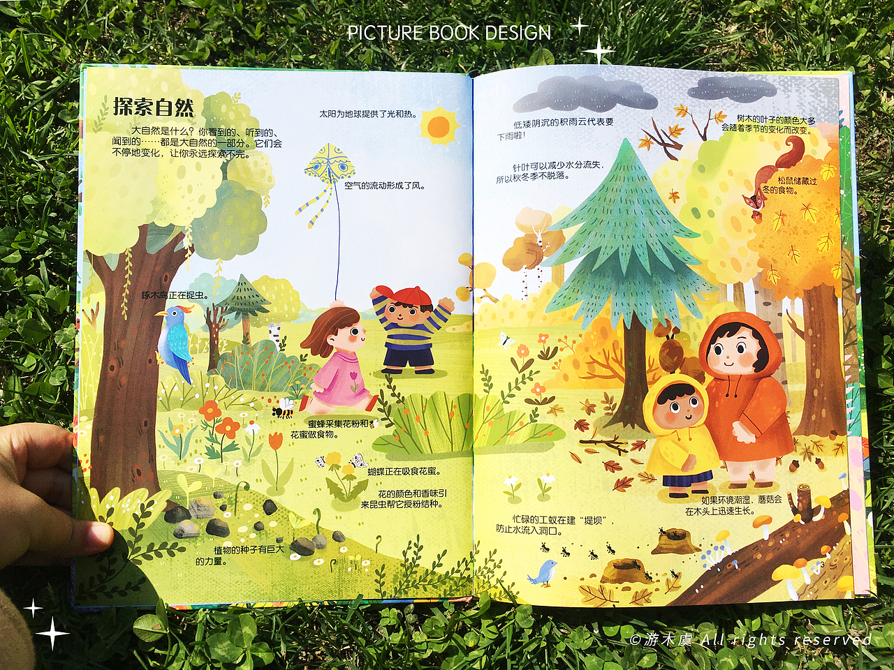 【绘本】-自然