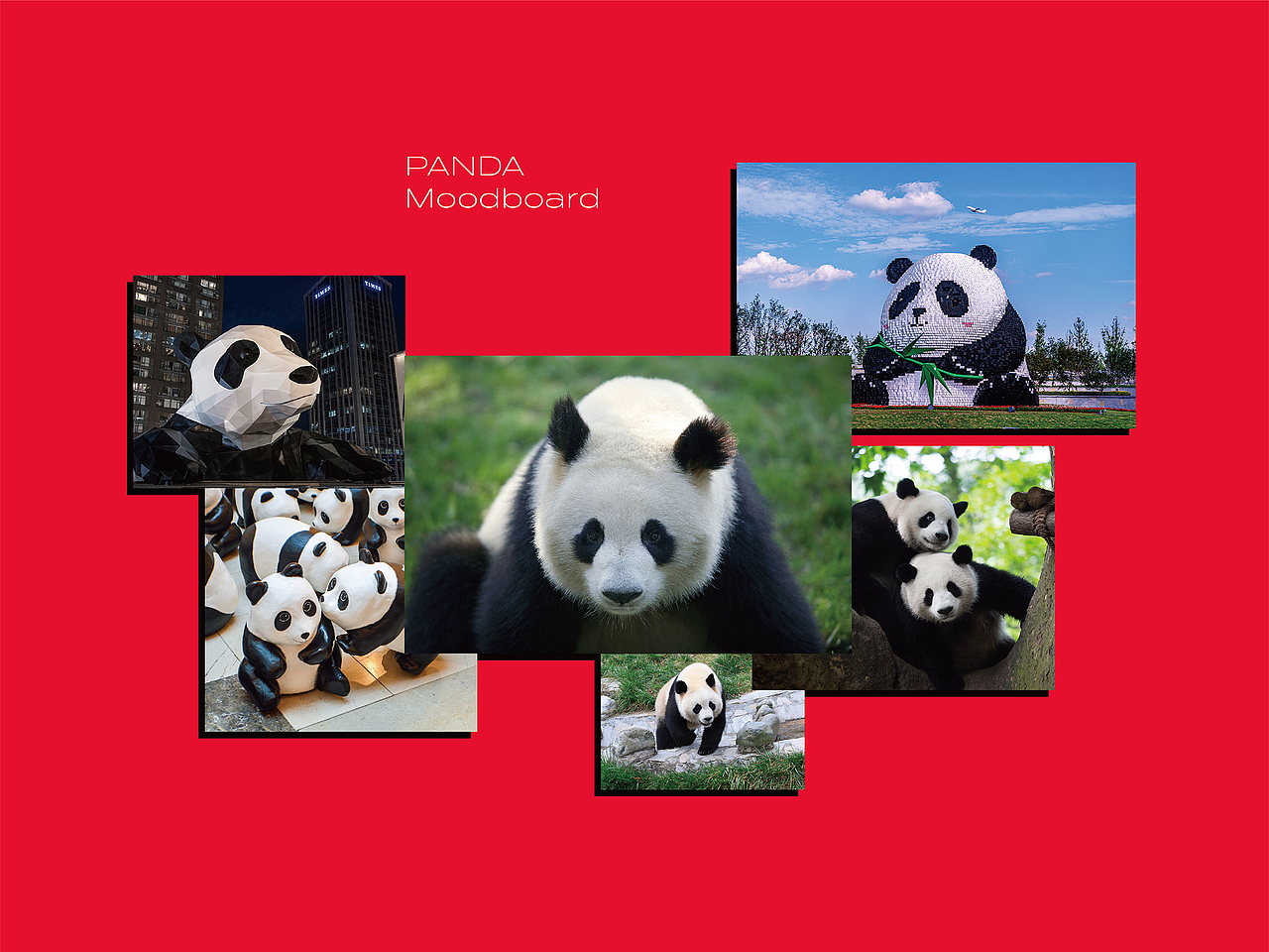 PANDA Play潘达潮玩 logo&IP品牌全案升级（图ZMzI0NzE2MzA4） - IP形象 - 站酷设计师ilben张艺彬原创素材 - 站酷ZCOOL