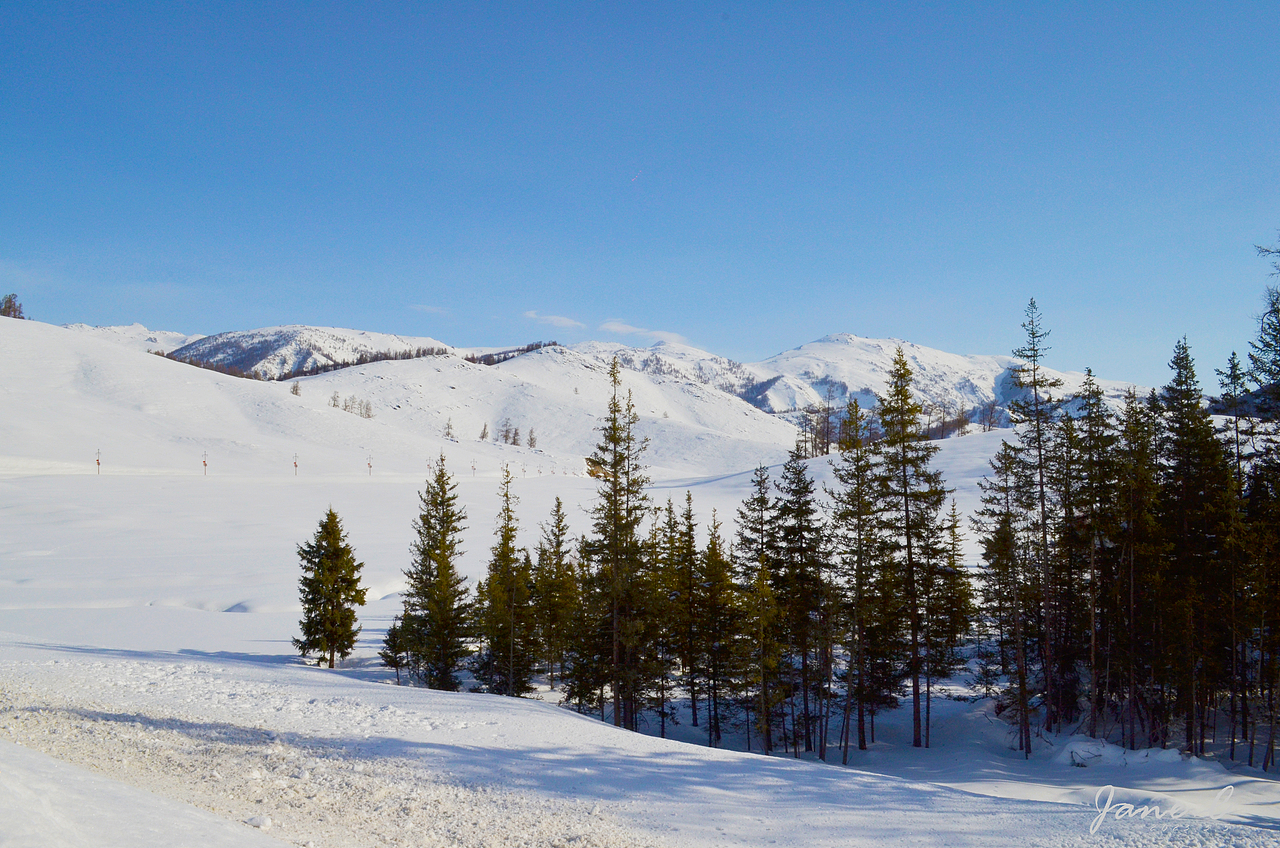 北疆之行,看雪的世界