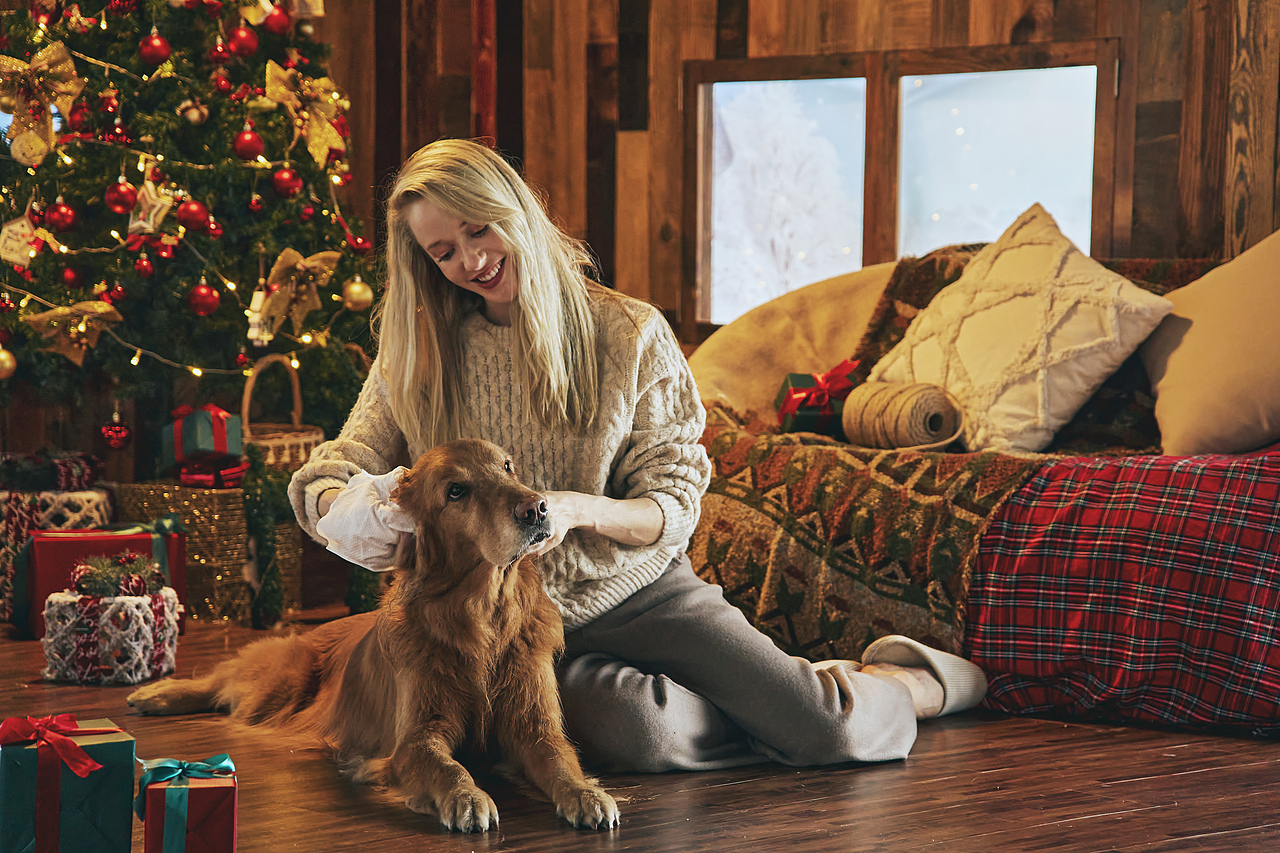 商业拍摄-宠物护理产品圣诞节主题拍摄