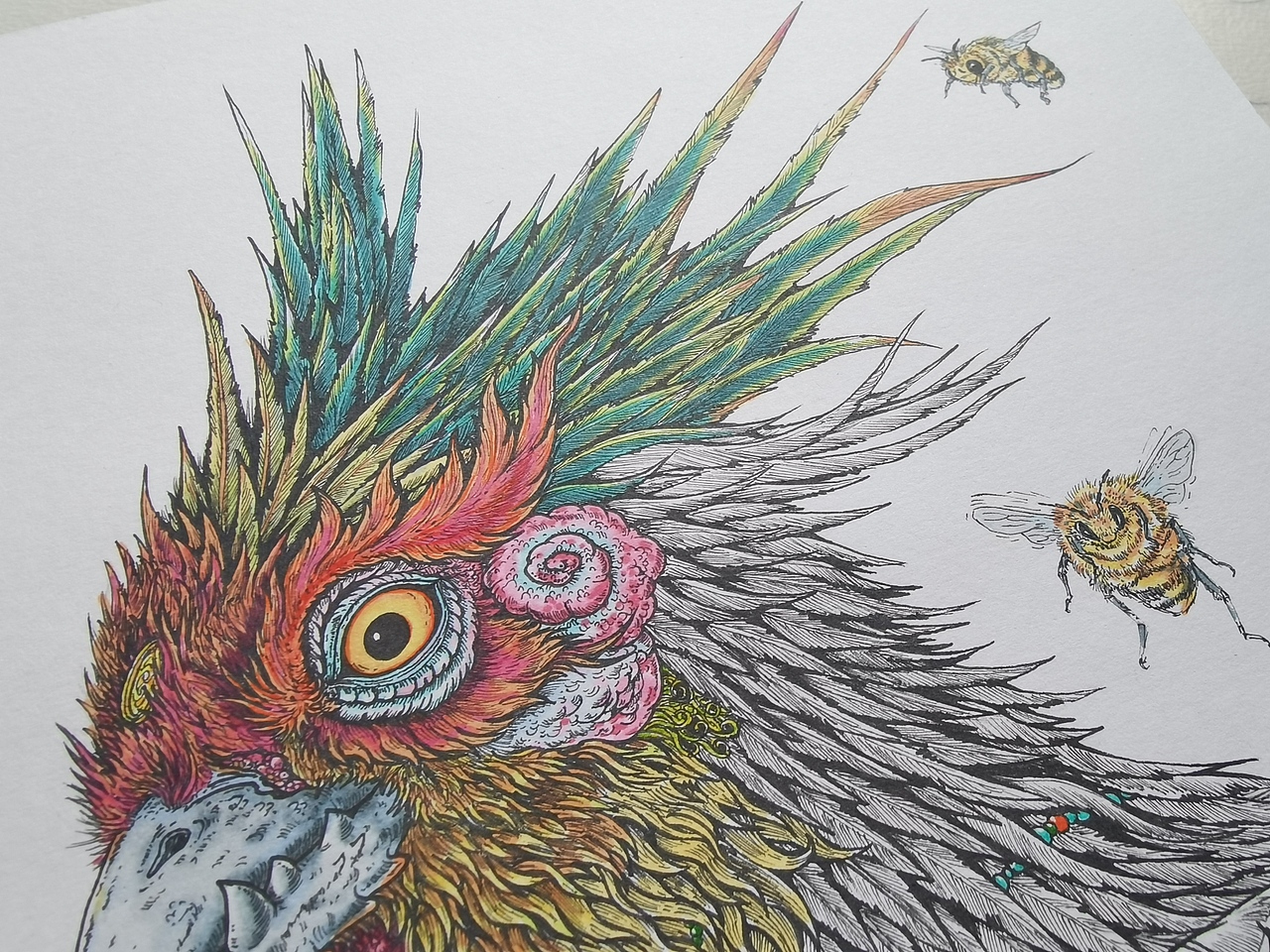 2024.05.15毣柞山海-北山经-蔓联山-䴔