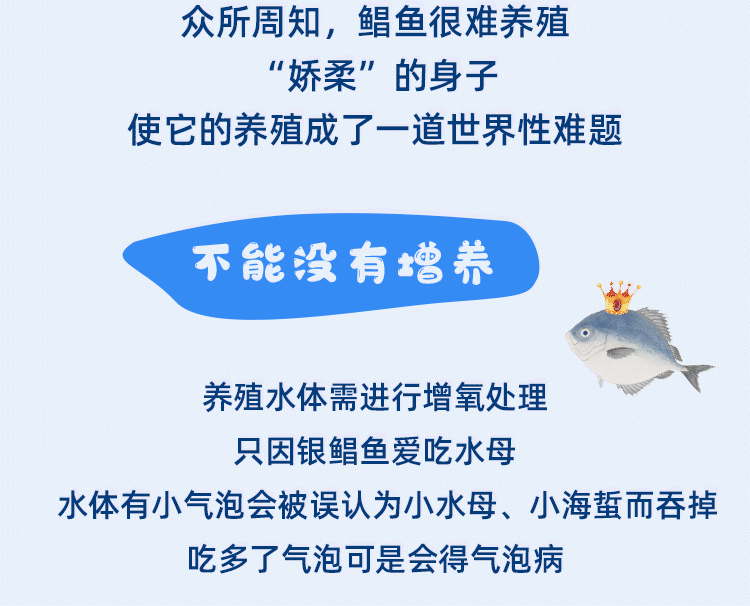 微信公众号长图