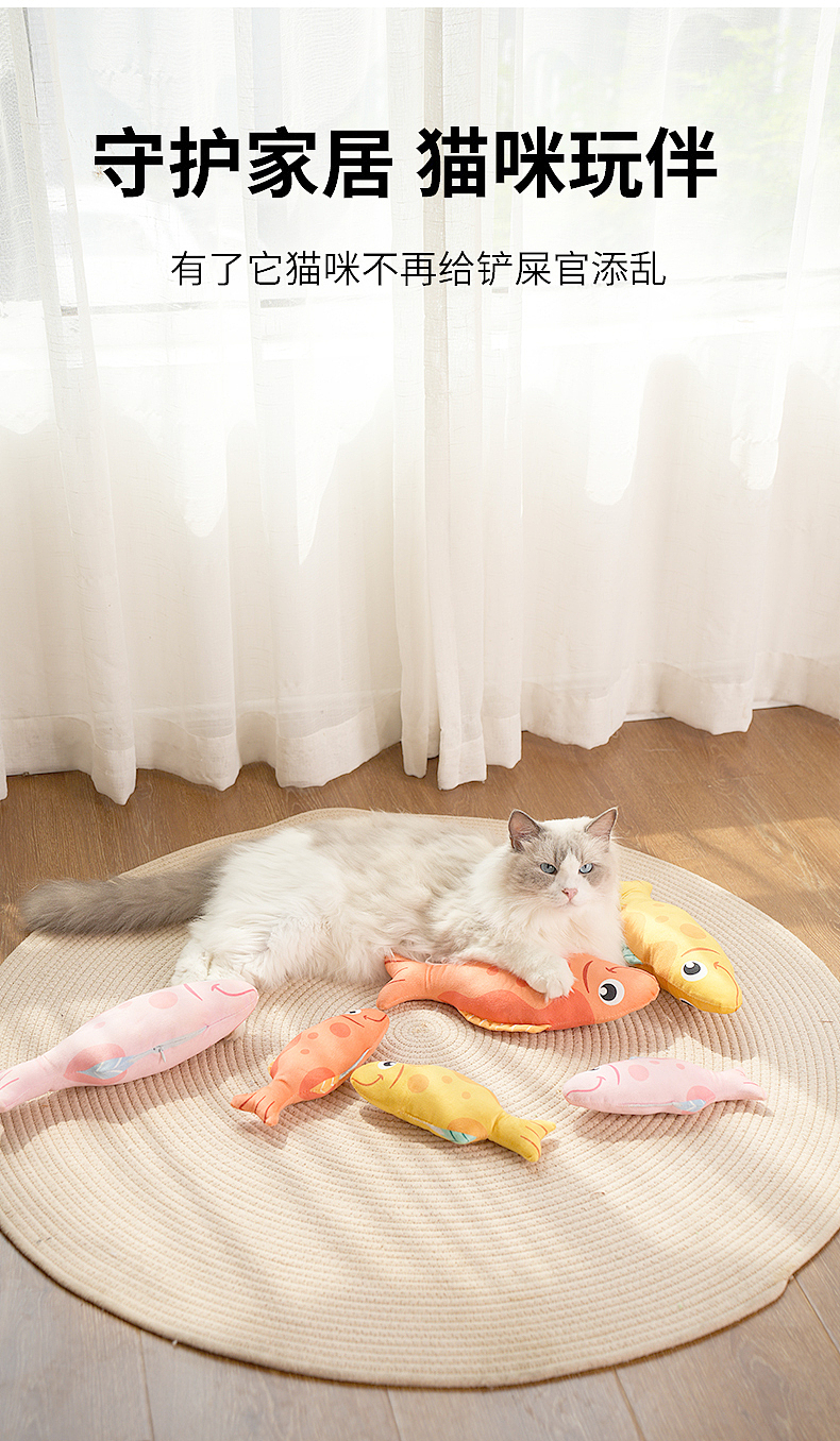 产品摄影详情设计主图视频拍摄制作亚马逊电商主图宠物