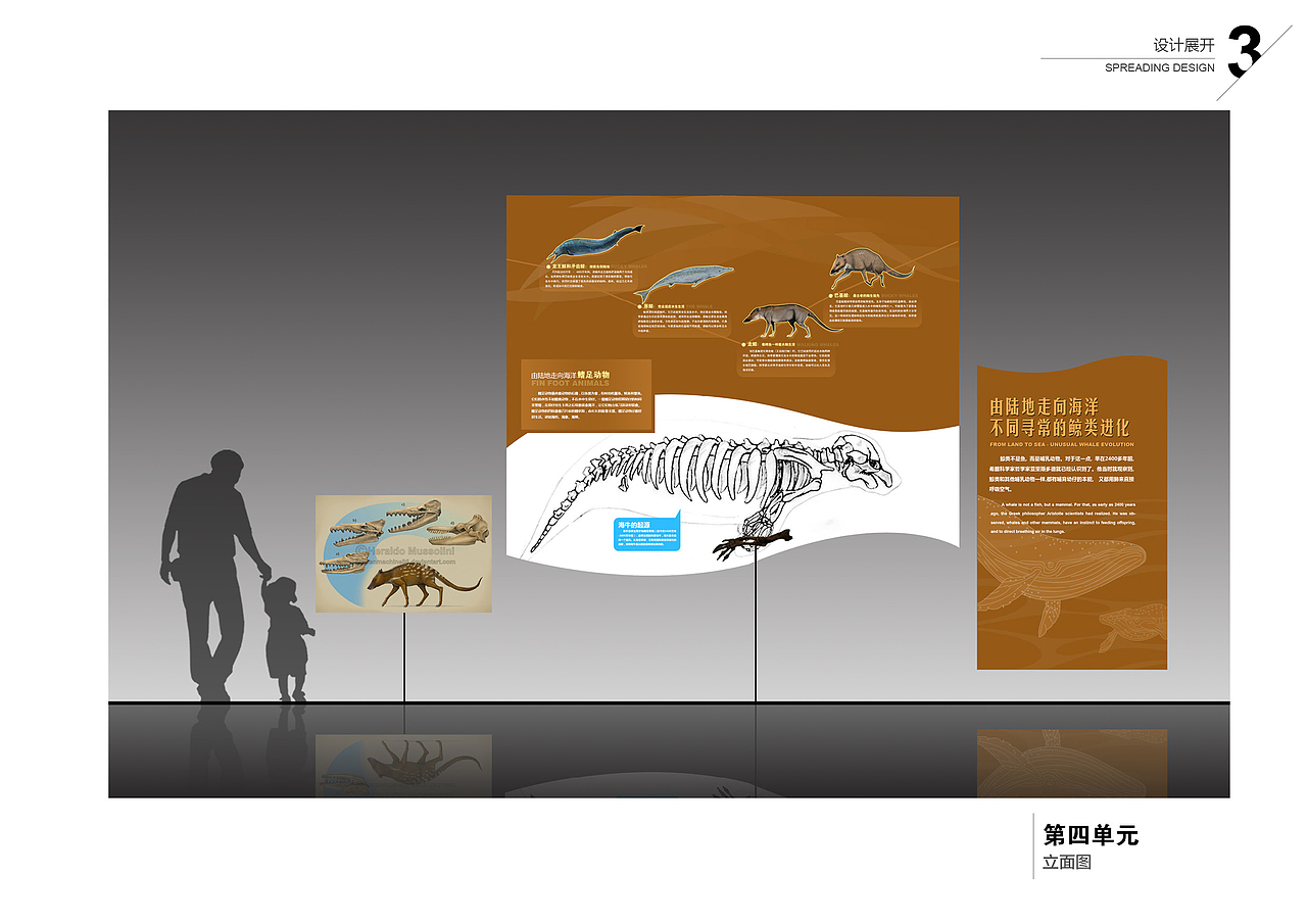 海洋展厅立面展示