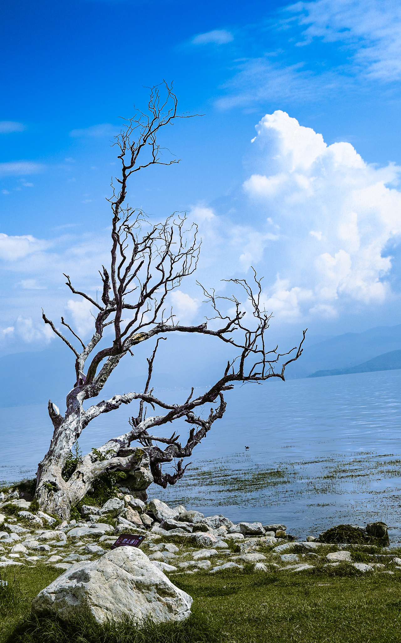 初入摄影,记录生活
