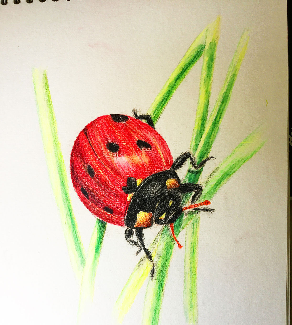 臨摹手繪練習(xí)（圖ZMzMzNTU1MTgw） - 繪畫 - 站酷設(shè)計師ChenSD原創(chuàng)素材 - 站酷ZCOOL