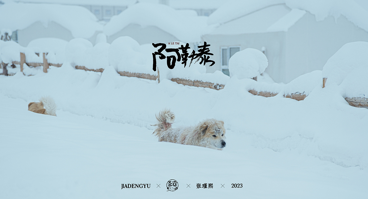 『阿勒泰之贾登峪』（图ZMzI3MjI0Mzk2） - 风光摄影 - 站酷设计师张瑾熙原创素材 - 站酷ZCOOL