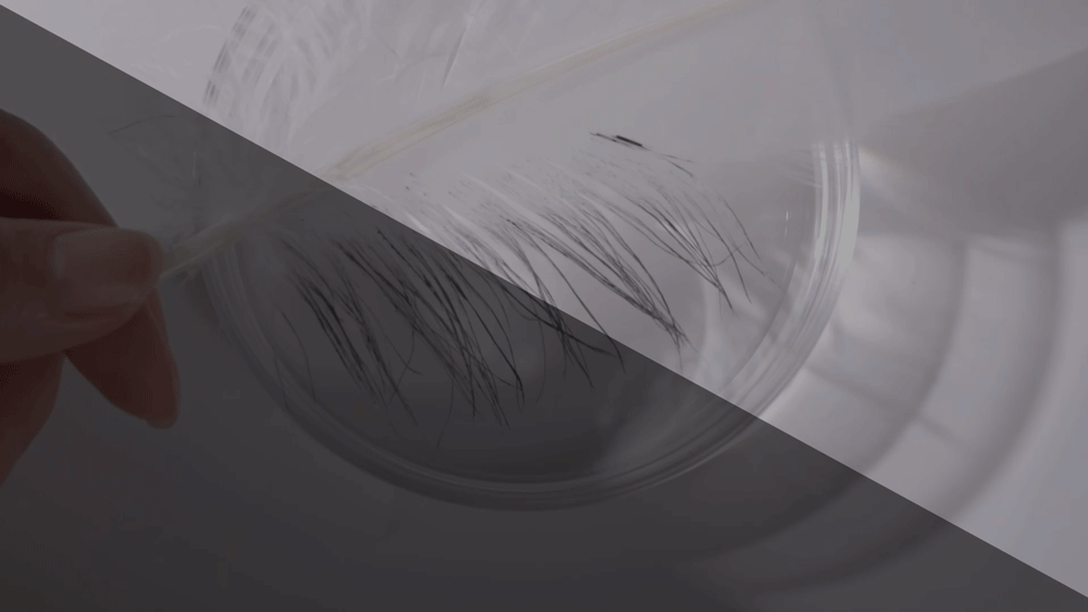 热产创意LAB | KOLMAR科玛 睫毛膏系列产品