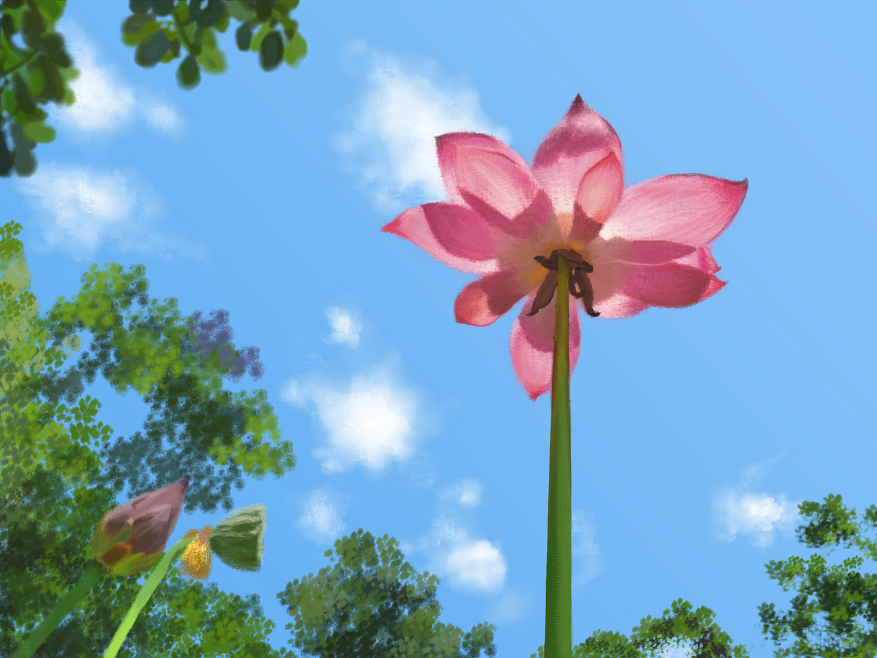 夏天的荷花和天空（图ZMzA0NjU2ODUy） - 创作习作 - 站酷设计师喵哒moon原创素材 - 站酷ZCOOL