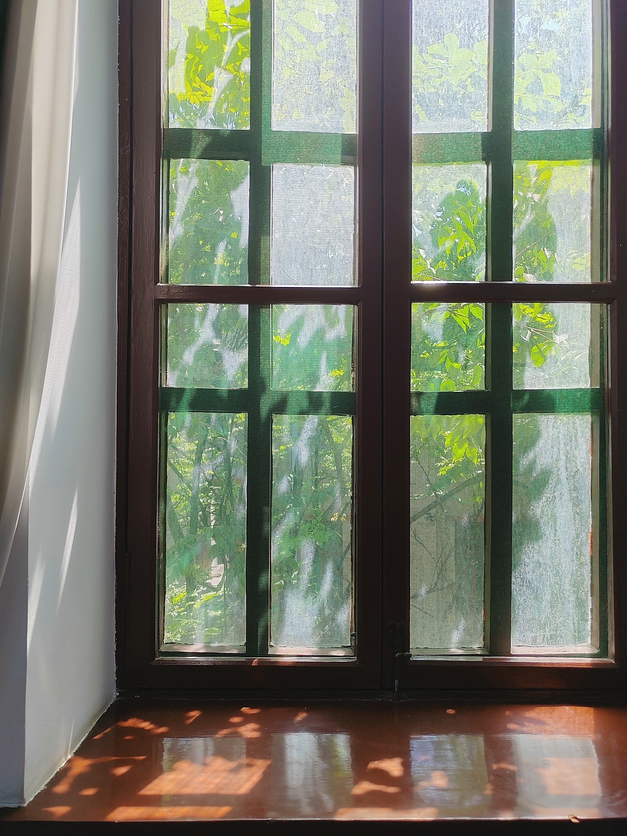 西安事变纪念馆张学良公馆，是典型的民国时期建筑，通体青砖建设，顶部是拱起的飞檐，给人古朴、坚实的感觉；窗户狭长，内部空间紧凑、温馨，楼梯陡且台阶窄，上行颇为费力。
       时值盛夏，窗外绿意盎然，阳光灼灼，室内闷热，参观者大多满头大汗，步履匆匆，不能久呆更不能静心了解陈列内容。行至窗边，光线穿过绿荫再过纱窗，变得柔和安静，不似外面盛气灼人的样子。站立此处，仿佛穿越时光，见到了百年前的景象。