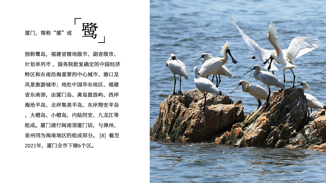 厦门城市形象logo设计（图ZMzIzMzgwNTE2） - Logo - 站酷设计师昕昕向荣2024原创素材 - 站酷ZCOOL