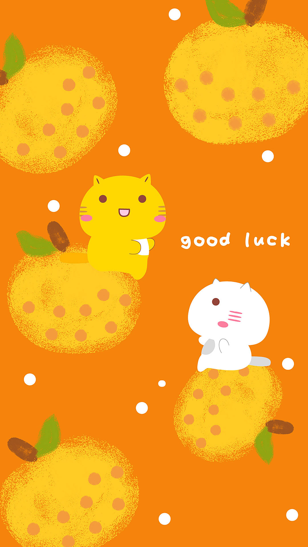 哈咪猫爱西瓜爱橙子爱蓝莓